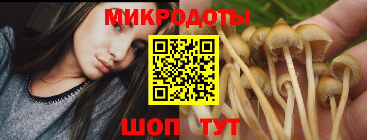где купить наркоту  Псилоцибиновые грибы Magic Shrooms  Белогорск  Вход с VPN  Галлюциногенные грибы Psilocybine cubensis 